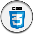 css3 logo